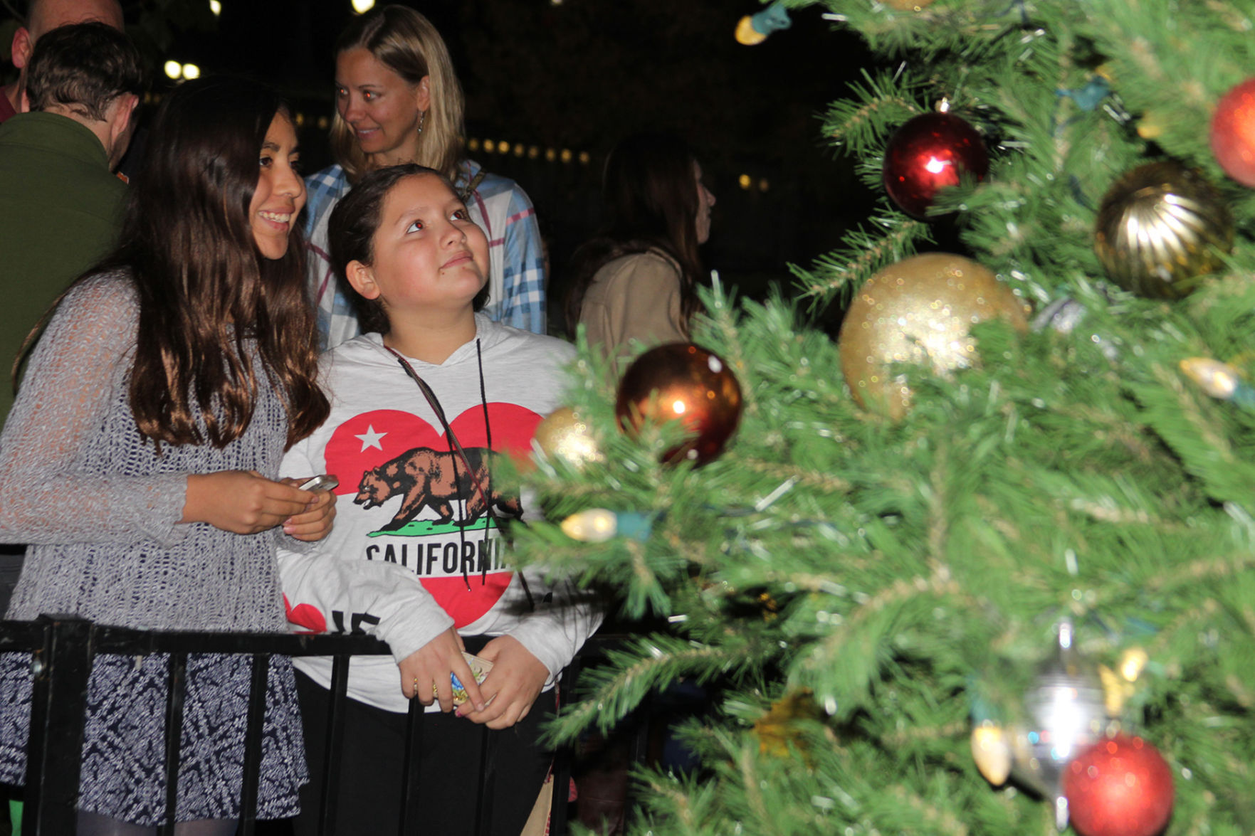 Christmas tree lighting